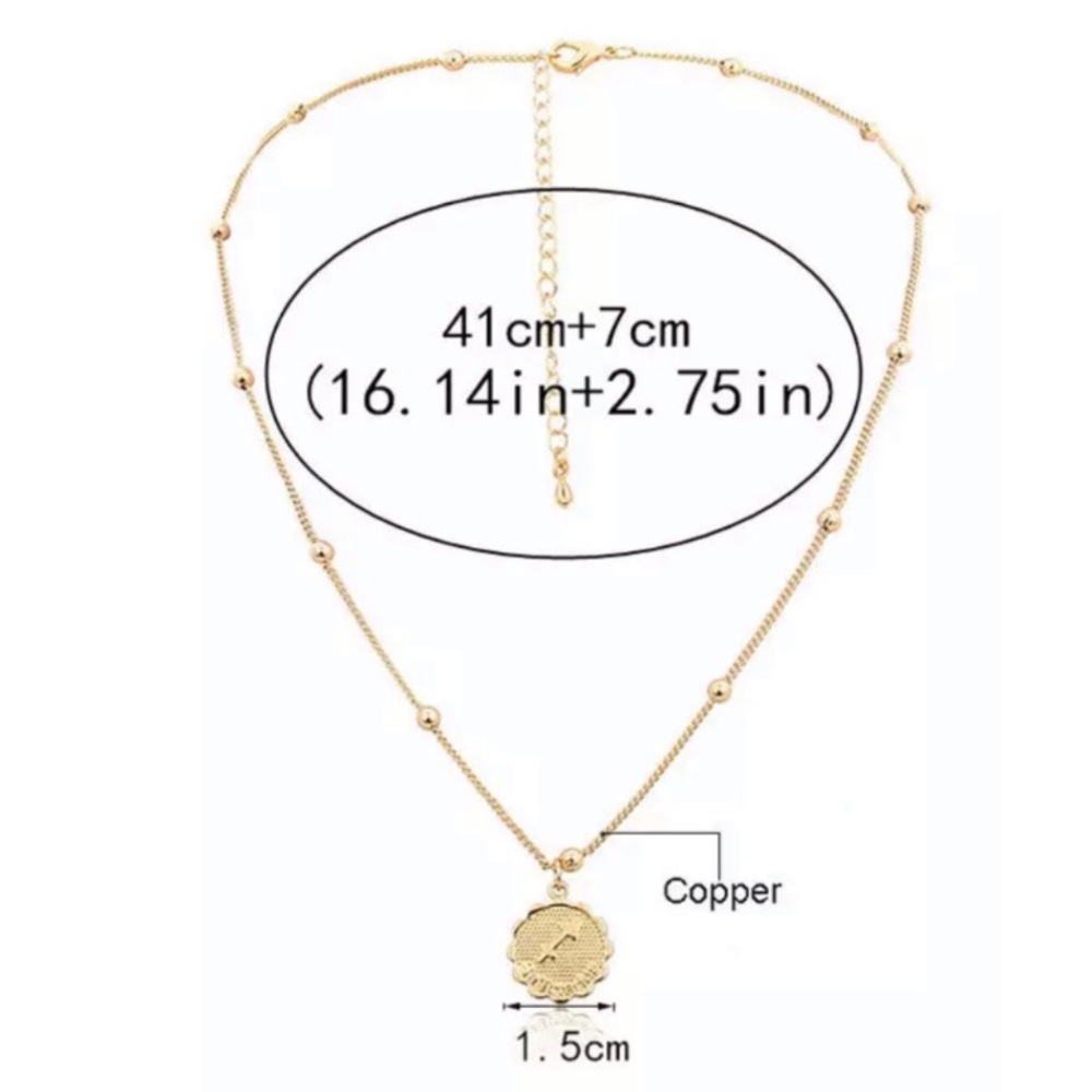 Pisces Zodiac Coin Necklace - Picture 8 of 8
